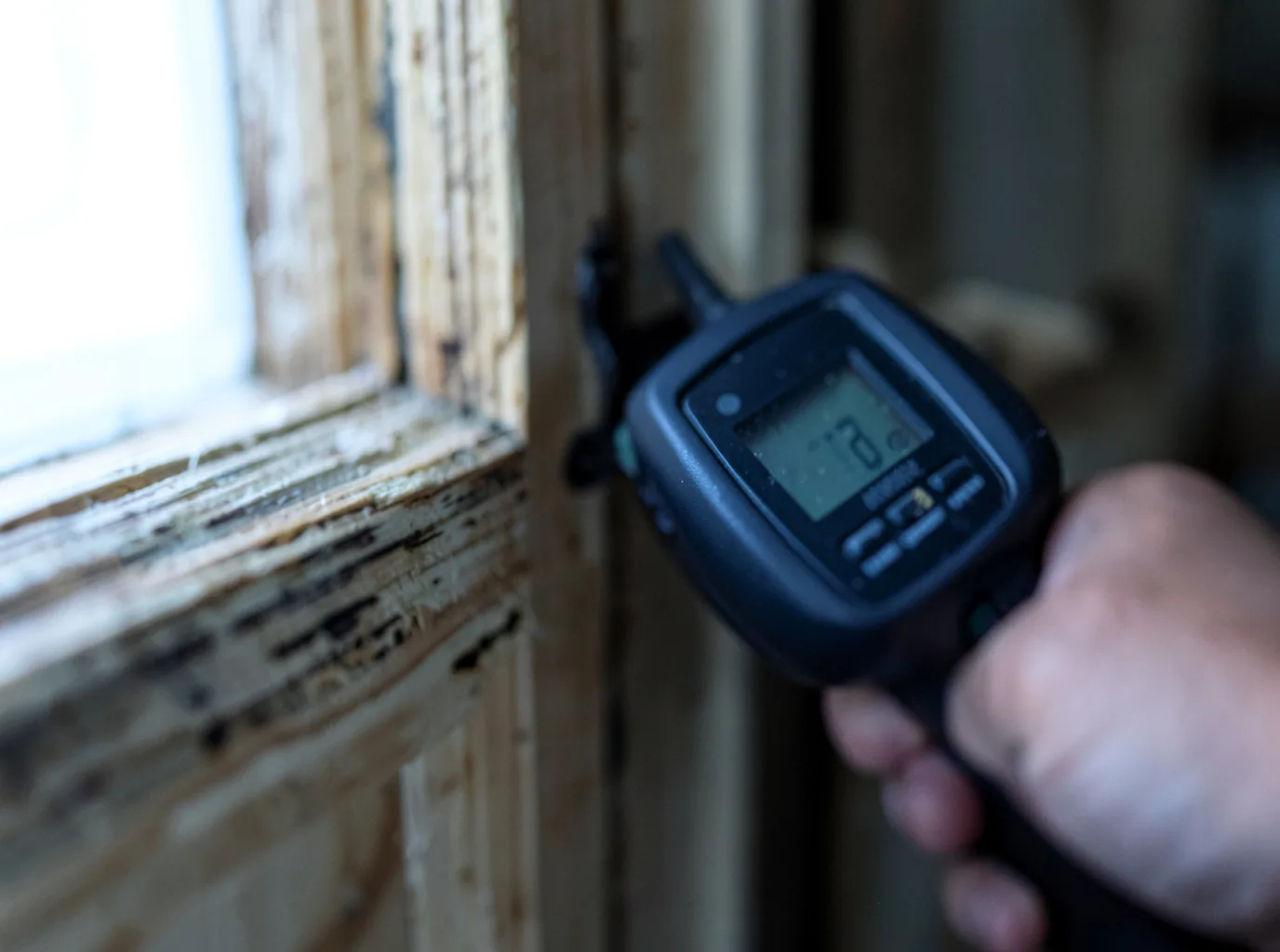 Moisture Inspection And Documentation in Valley Bend, WV